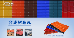 全球分歧地域的天气特点